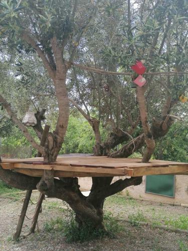 Agroturismo El Maset Del Garraf Privatizado
