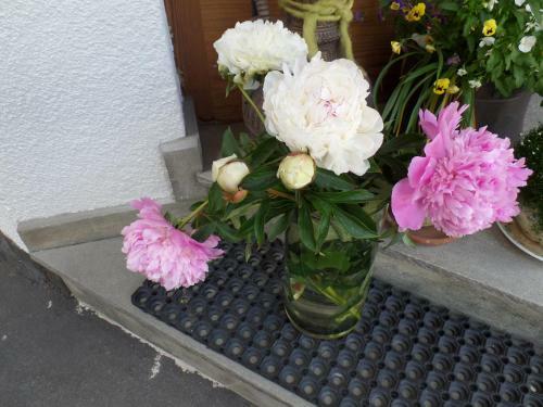 Hostal Pension Sonnenberg