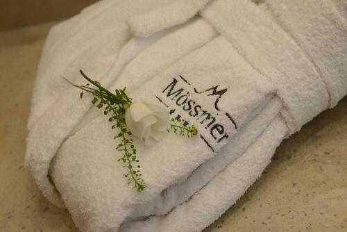 Hotel Garni M�ssmer