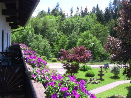 Hostal Gasthof Waldwirt