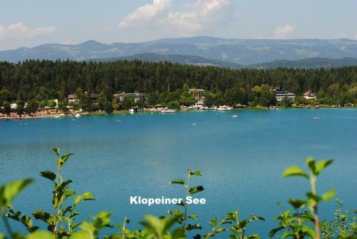 Hostal Gasthof Waldwirt