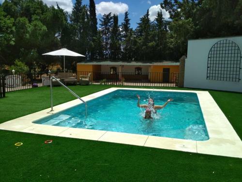Casa Rural Sevilla, Olivares