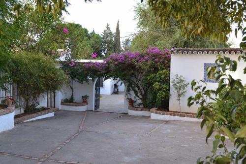 Casa Rural Sevilla, Olivares