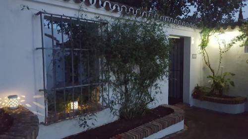 Casa Rural Sevilla, Olivares
