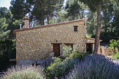 Apartamento Masia Pou De La Vinya