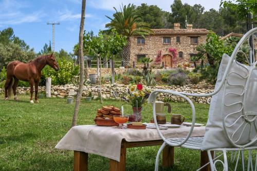 Apartamento Masia Pou De La Vinya
