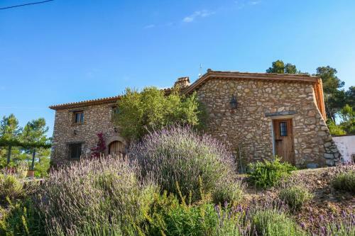 Apartamento Masia Pou De La Vinya