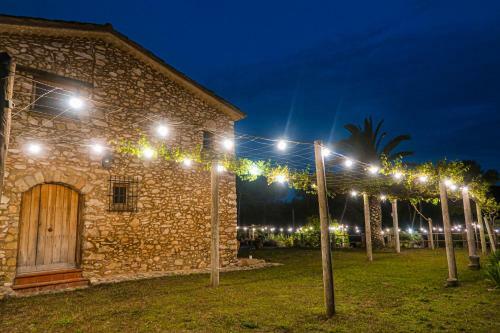 Apartamento Masia Pou De La Vinya