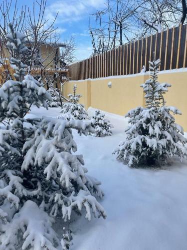 Villa Quattro Armenia - Comfortable Villa With Open Pool