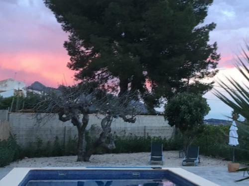 Bed & Breakfast Casa Alestelou