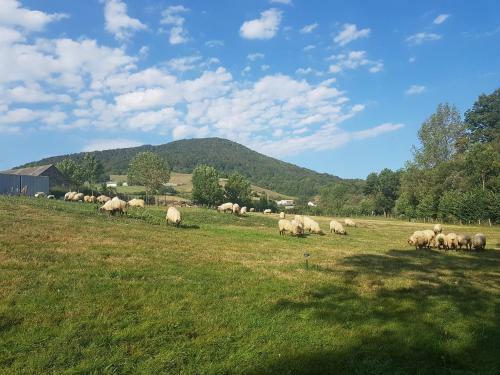 Agroturismo Hostal Rural Iratiko Urkixokoa