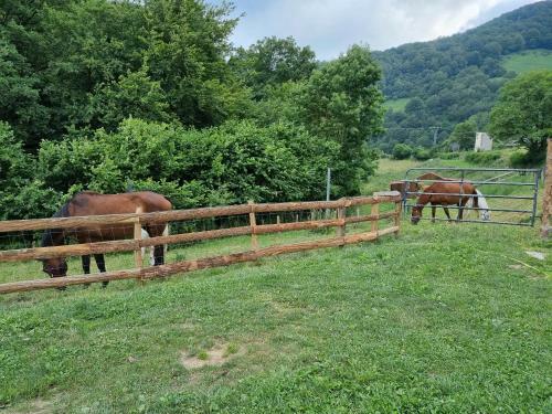 Agroturismo Hostal Rural Iratiko Urkixokoa