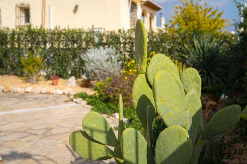 Apartamento La Mandarina