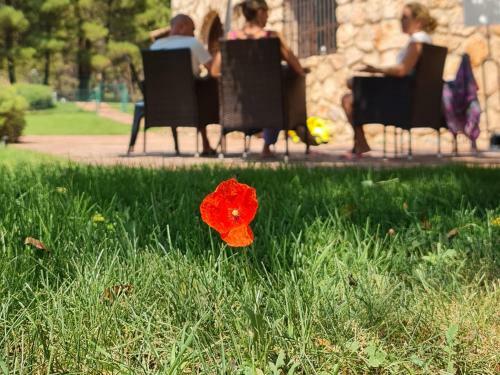Agroturismo Valdemarin Rural