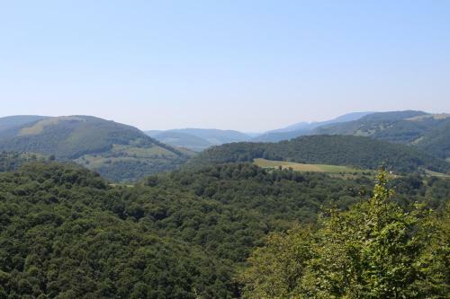 Apartamentos Zabalarena Ola