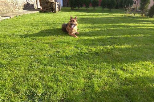 Casa Rural Entre Santiago Compostela Y La Coru�a