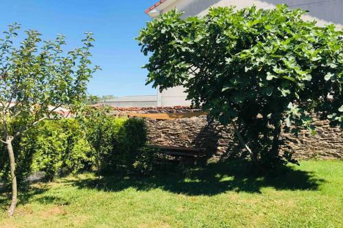 Casa Rural Entre Santiago Compostela Y La Coru�a
