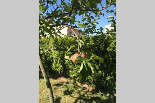 Casa Rural Entre Santiago Compostela Y La Coru�a