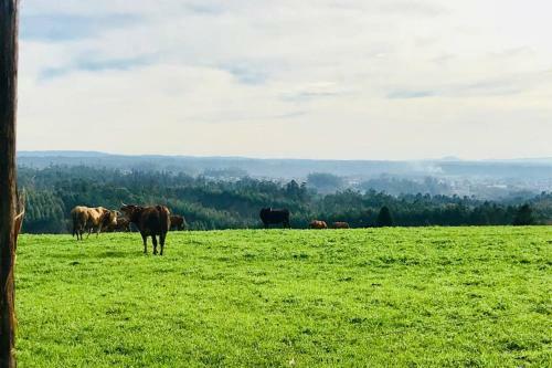 Casa Rural Entre Santiago Compostela Y La Coru�a