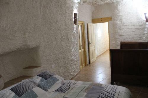 Cuevas Al Andalus - Granaina