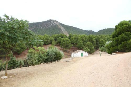 Cuevas Al Andalus - Granaina