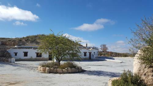 Cuevas D. Alvaro Y Romaide 7 Y 8