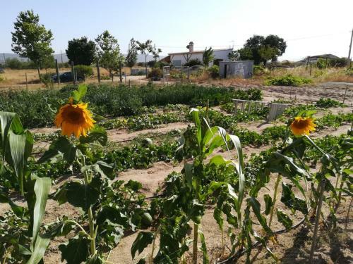 Finca - Granja " El Chaparral"
