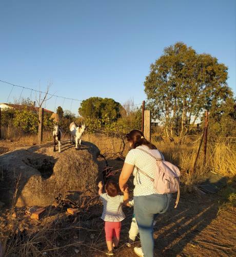 Finca - Granja " El Chaparral"