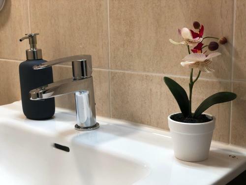 Apartamento Ca La Conxita