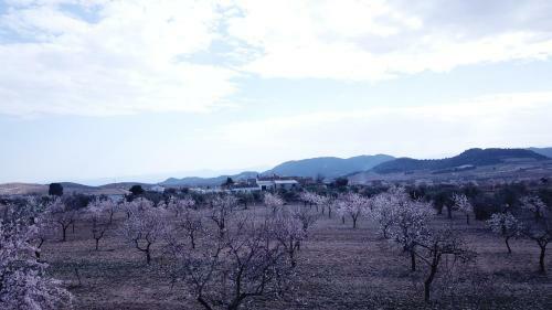 B&B Casa Blanca Oria