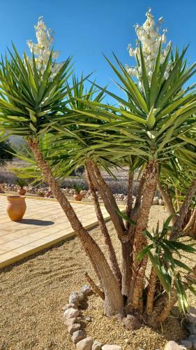 B&B Casa Blanca Oria