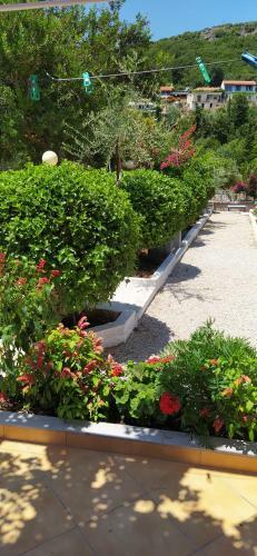 Hostal Garden Rooms
