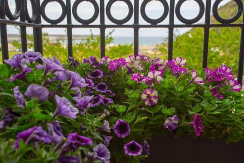 Apartamento Orio Playa Lucir�