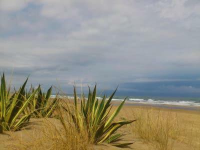 Apartamento Oliva Nova Golf