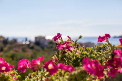Hotel Toni Retzo Rooms