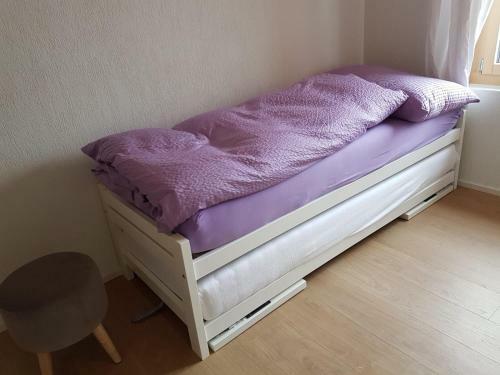 Apartamento Chalet Gr�neggli