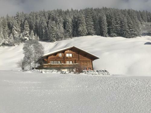 Hostal Abelied
