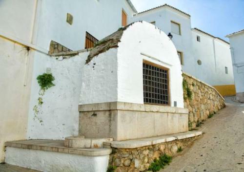 Oliva Holidays 4