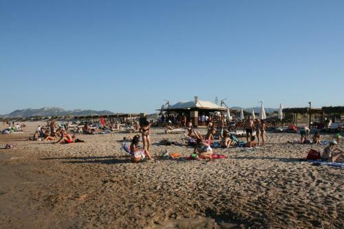 Oliva Holidays 4