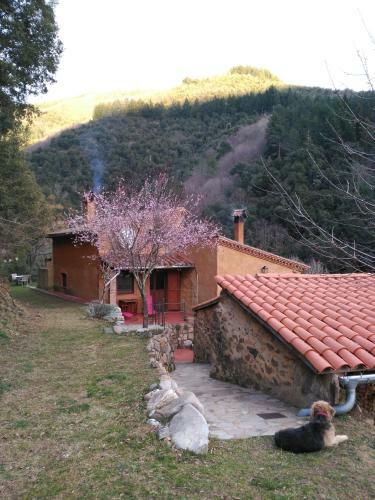 Agroturismo El Lila De Can Teixidor