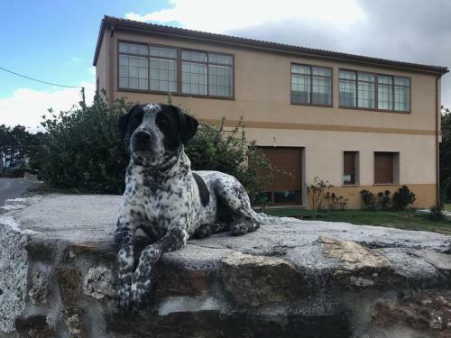 Casa Idalia