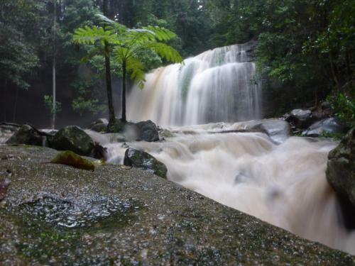 Bed & Breakfast Buderim Forest Hideaway