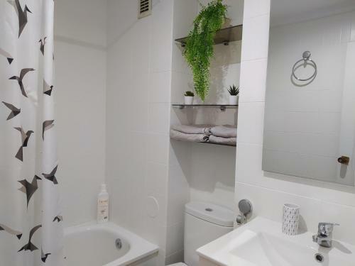 Apartamento Casa Fr