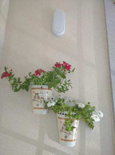 Apartamento Mar�a Belkis
