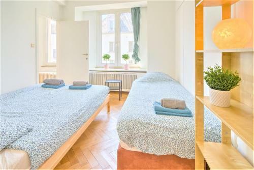 Lily Apartment. Historic Center Of Antwerp