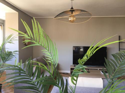 Apartamento ***nuevo Piso En Ourense Wifi Parking***