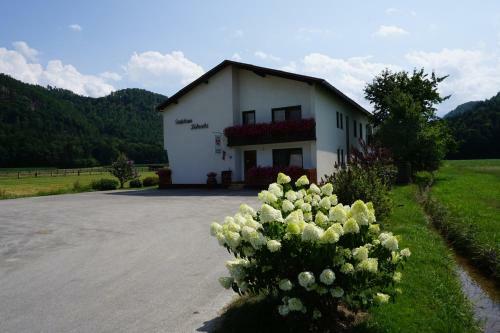 Hostal Pension Tschische