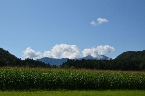 Hostal Pension Tschische