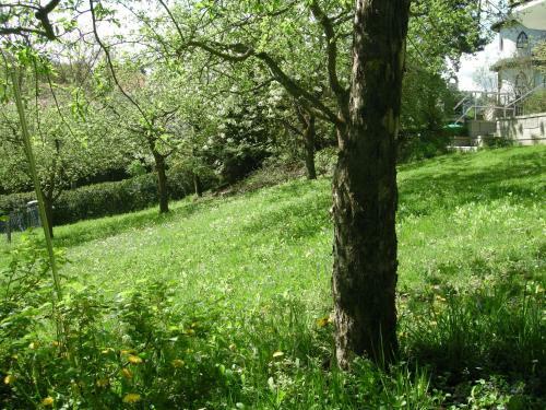 Apartamento Ferienwohnung Anna