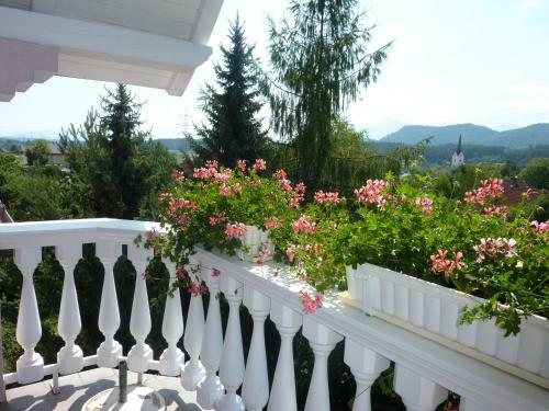 Apartamentos Villa Ros�